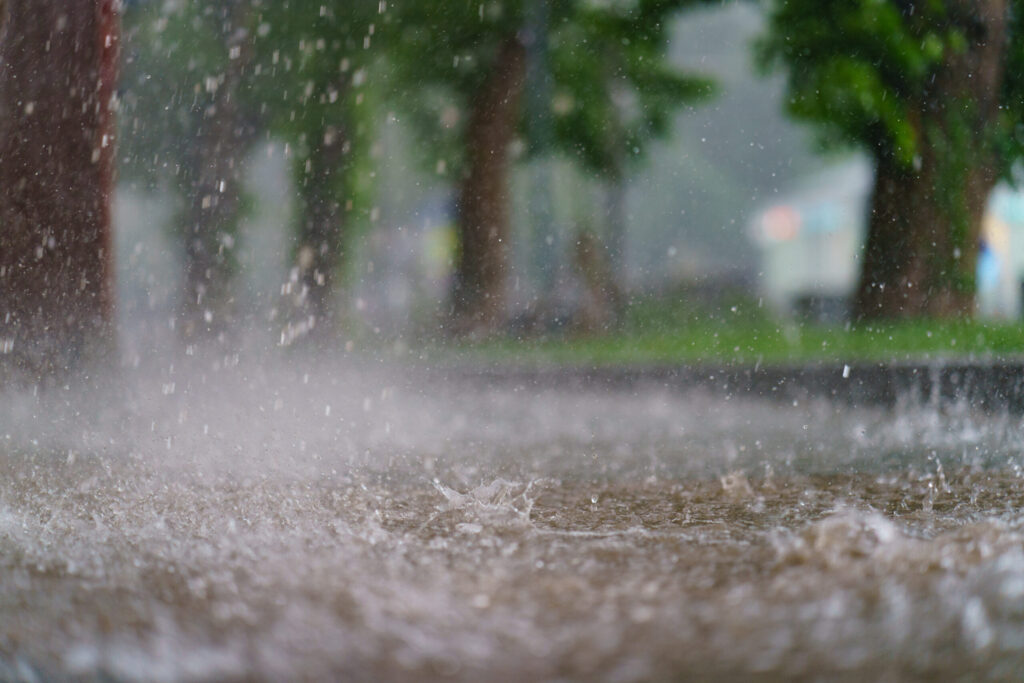 Tormenta tropical Rachel podría traer lluvias intensas e inundaciones a San Diego