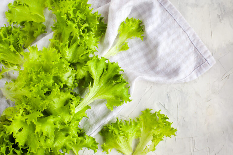 FDA encuentra nuevas pruebas que vinculan lechuga de Taylor Farms con brote de Cyclospora